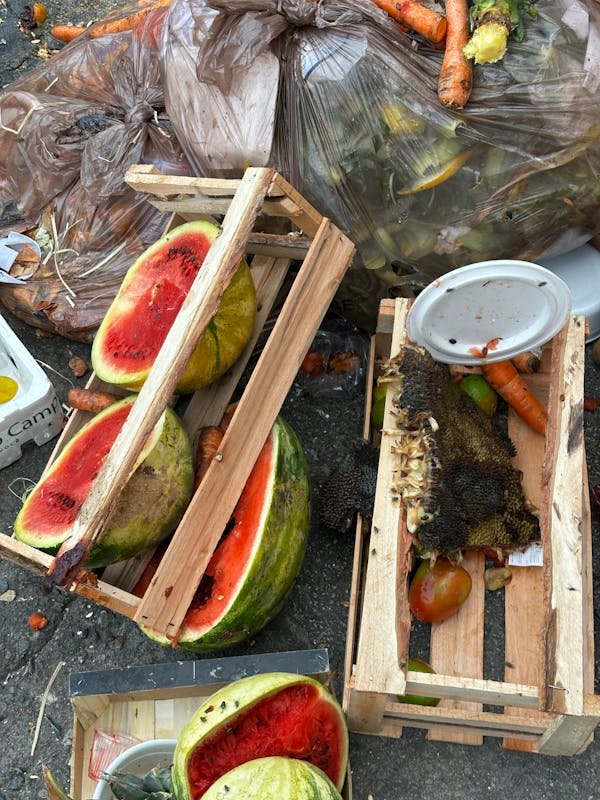 Solutions originales pour combattre la précarité alimentaire en france